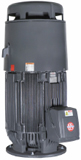 US Motors Vertical Solid Shaft Motor Image